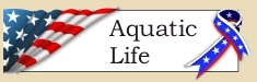 Graphic placeholder for Aquatic Life heading