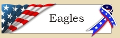 Graphic placeholder for Eagles header